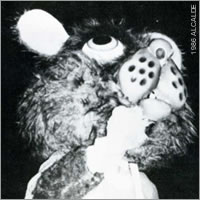 Sammy Bearkat