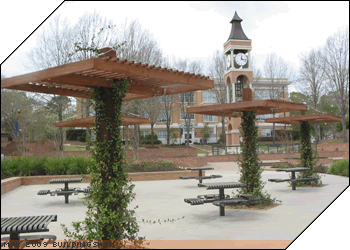 Bearkat Plaza