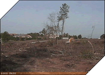 Bearkat Village
