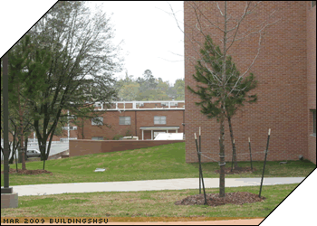 CHSS Outdoor Classroom and Art Plaza