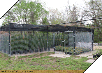 Animal Sciences Lab